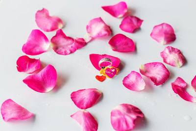 High angle view of pink roses