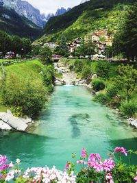 Scenic view of river amidst buildings