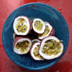 Close-up of food served on table