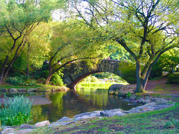 Bridge over river by trees against sky