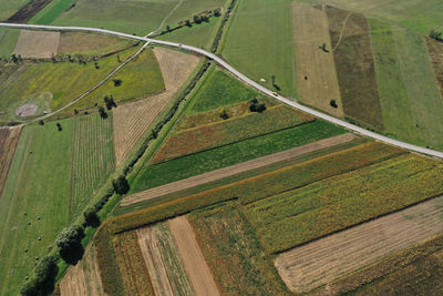 High angle view of agricultural field