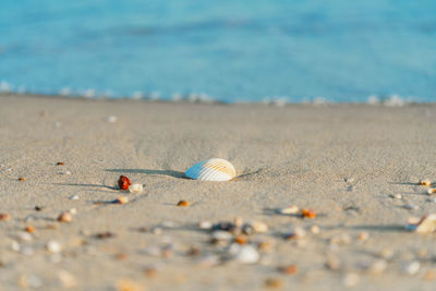 Surface level of sand