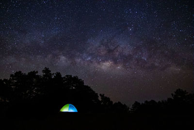 Low angle view of silhouette trees against sky at night