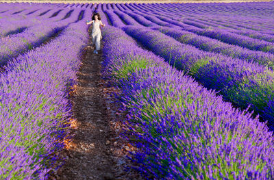 Young woman walking amidst purple flowering plants