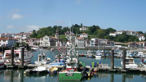 Boats in harbor