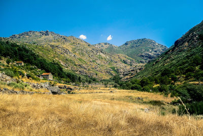 Scenic view of landscape against clear blue sky