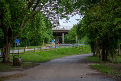 Footpath by trees in park