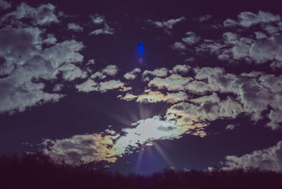 Low angle view of silhouette trees against sky at night