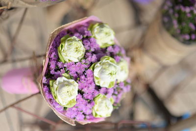 Close-up of purple flower