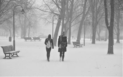 Walking in a park in winter