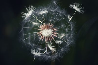 Low angle view of firework display at night