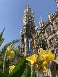 Low angle view of yellow flowering plant against building