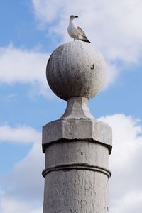 Low angle view of seagull perching on stone structure against sky
