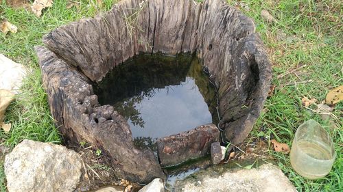 High angle view of tree stump on rock