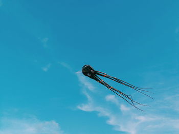 Low angle view of a kite against blue sky