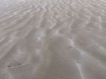 High angle view of footprints on wet sand