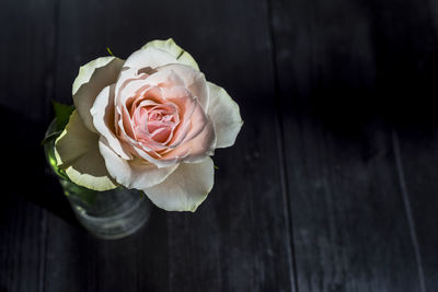 High angle view of rose bouquet