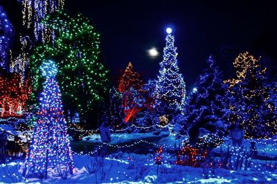 Illuminated christmas tree at night