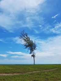 Tree on landscape against blue sky