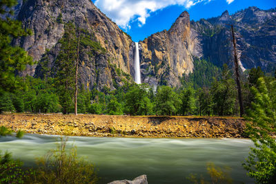 Scenic view of river amidst trees in forest