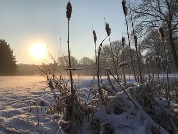 Scenic view of frozen lake against sky during winter