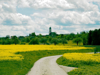 Scenic view of agricultural field against sky
