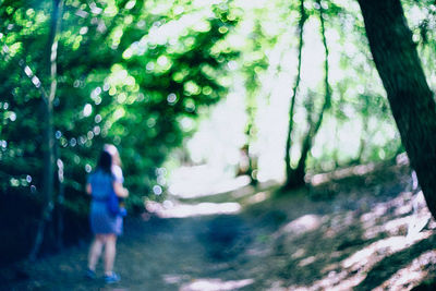 People walking in forest