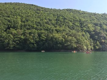 Scenic view of sea against trees in forest