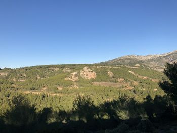 Scenic view of landscape against clear blue sky