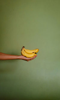 Midsection of woman holding fruit against wall