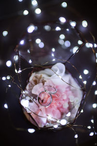 Close-up of illuminated christmas tree