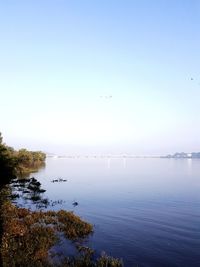 Scenic view of lake against clear blue sky