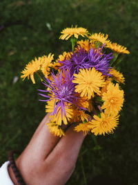 Close-up of hand holding purple flower