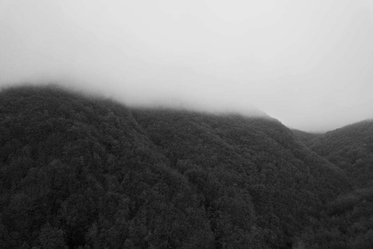 environment, mountain, nature, landscape, fog, scenics - nature, forest, plant, black and white, tree, mist, beauty in nature, no people, land, sky, tranquility, monochrome, tranquil scene, non-urban scene, monochrome photography, morning, horizon, outdoors, copy space, cloud, snow, day, ridge, idyllic
