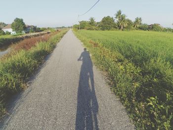 Shadow of person on road amidst trees on field