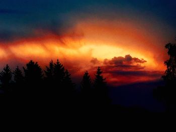 Silhouette of forest at sunset