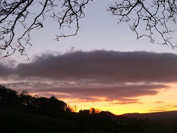 Silhouette trees against sky during sunset