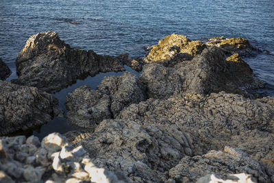 Close-up of rocks at shore