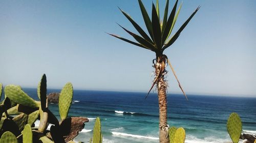 Scenic view of sea against clear sky