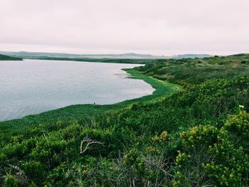 Scenic view of landscape against clear sky