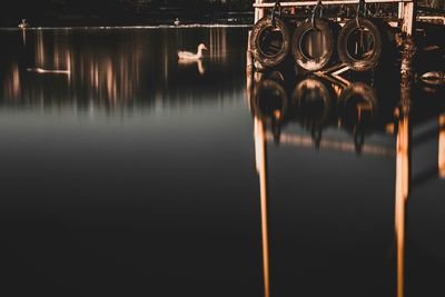 Duck swimming in lake