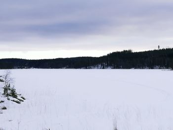 Scenic view of landscape against sky during winter