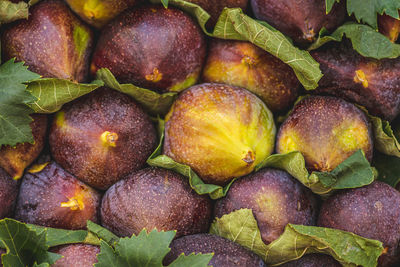 Fresh delicious figs with green leaves in a box in a street food market in summer, ready to eat