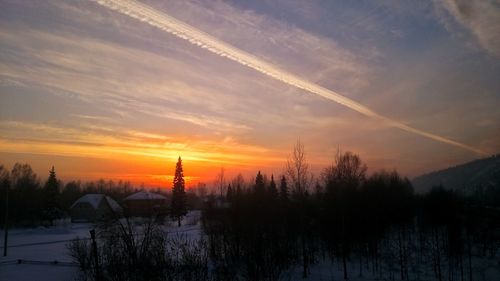 Scenic view of silhouette trees against sky during sunset