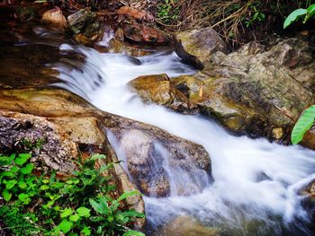 Stream flowing through rocks in forest