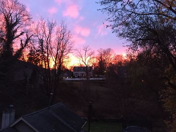 Bare trees against sky at sunset