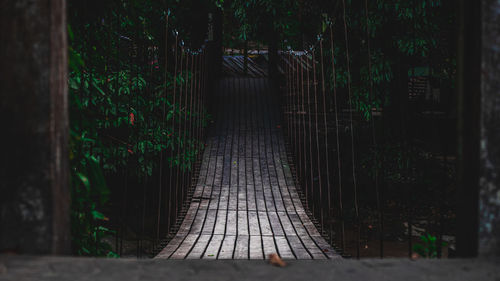 Empty footpath amidst trees in forest