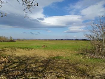 Scenic view of field against sky