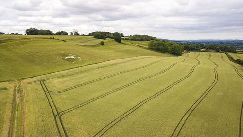 Scenic view of field against sky