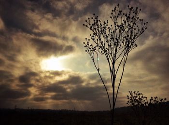 Scenic view of field against cloudy sky